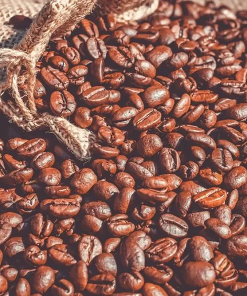 UN Launches Inaugural International Coffee Day to Honor Global Producers