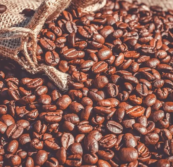 UN Launches Inaugural International Coffee Day to Honor Global Producers