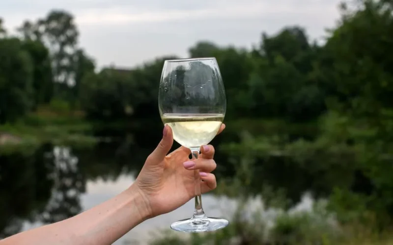 A bottle of white wine and glass on a stone ledge overlooking Lake Garda.