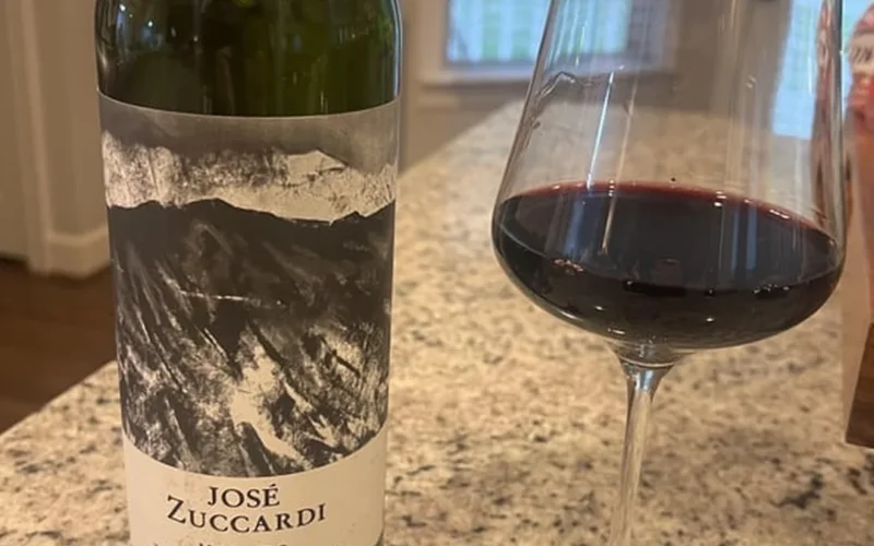 A glass of dark Malbec wine next to fresh blackberries on a stone table.